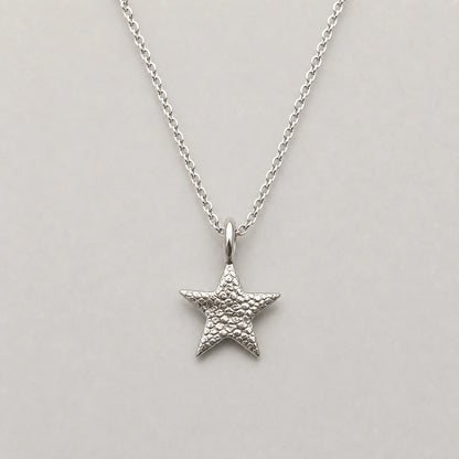 Custom star pet nose print silver necklace product image